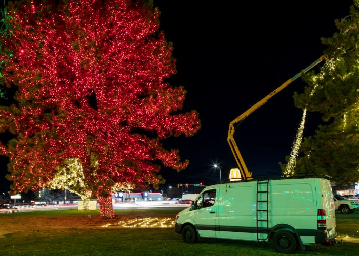 christmas lighting tree wrapping